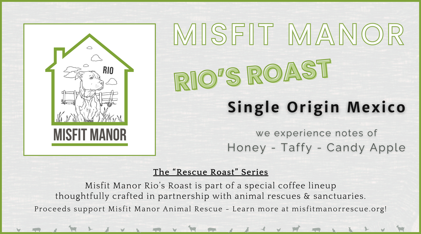 RESCUE ROAST: "Misfit Manor"
