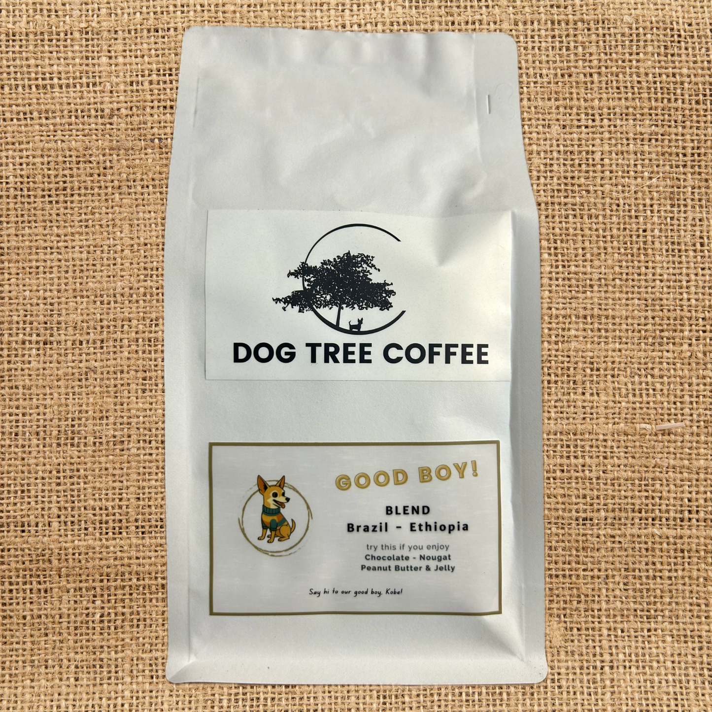 BRAZIL: “Good Boy”