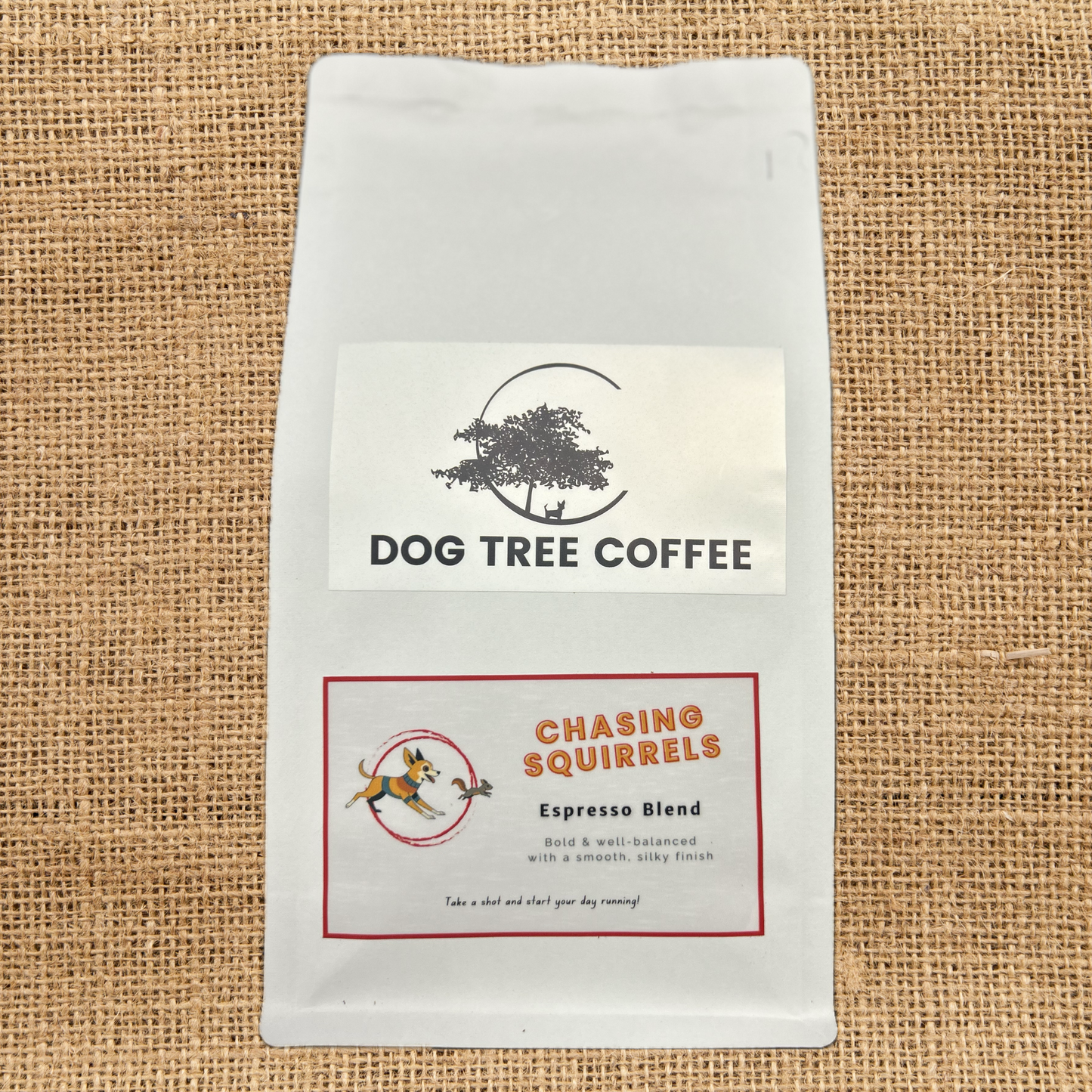 ESPRESSO: “Chasing Squirrels”