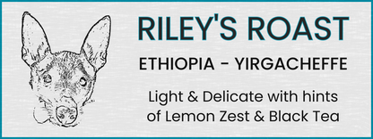 ETHIOPIA: “Riley’s Roast”