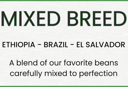 BLEND: “Mixed Breed”