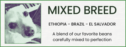 BLEND: “Mixed Breed”