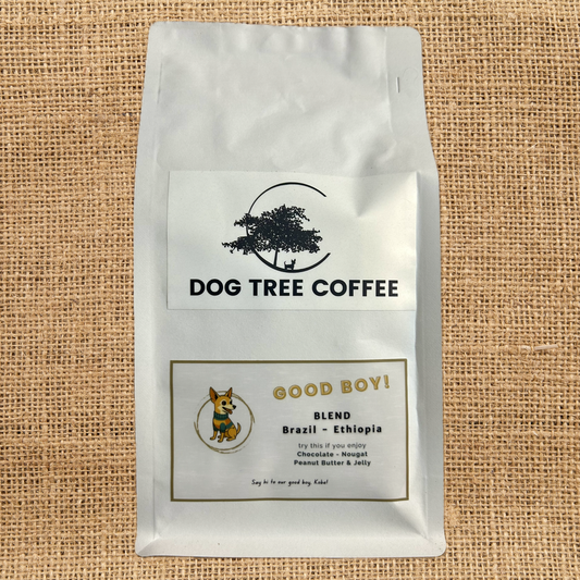 BRAZIL: “Good Boy”