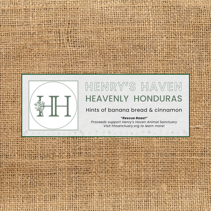 Single Bag Subscription